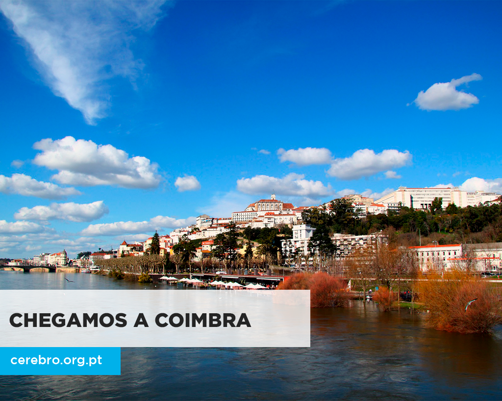 Centro CEREBRO expande os seus serviços à região de Coimbra
